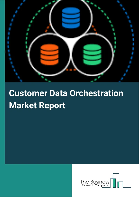 Customer Data Orchestration Market Report Infographic Image