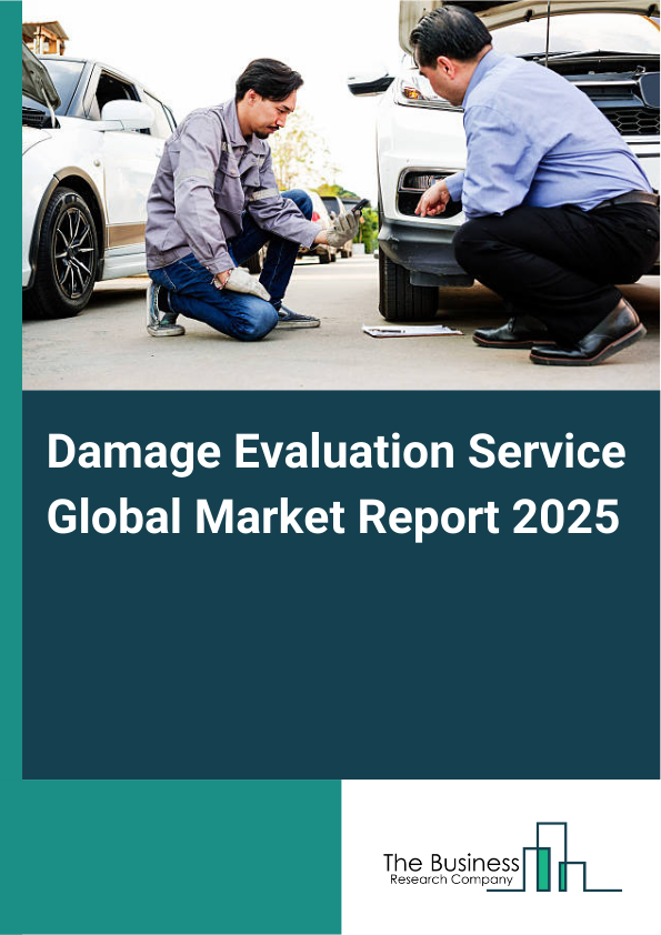 Global Damage Evaluation Service Market Report 2025