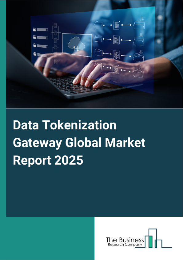 Data Tokenization Gateway Market Report Infographic Image