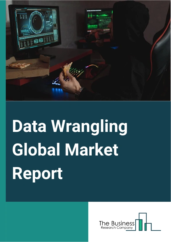 Global Data Wrangling Market Report 2025