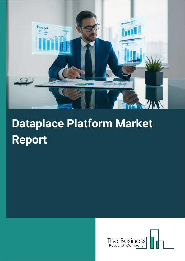 Dataplace Platform Market Report Infographic Image