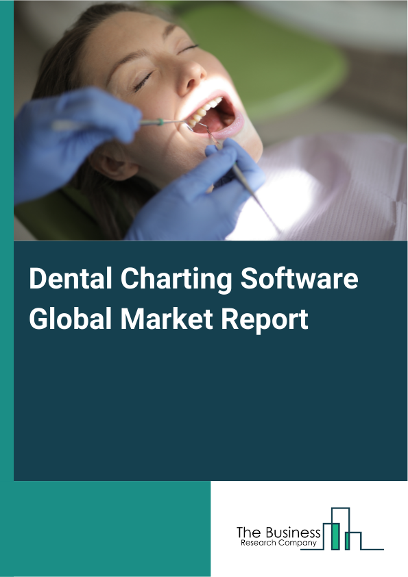 Global Dental Charting Software Market Report 2025