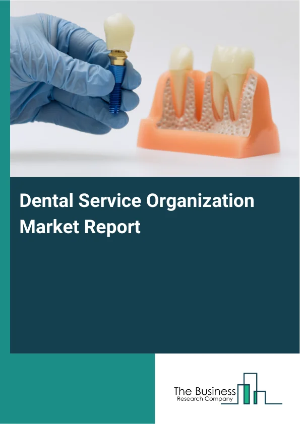Dental Service Organization Market Report Infographic Image