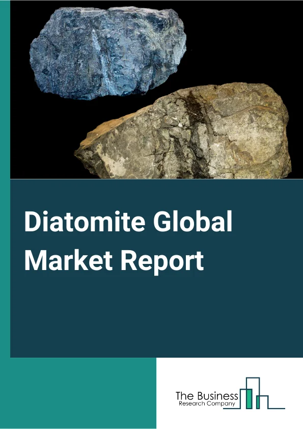 Diatomite Market Report 2023