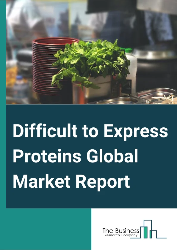 Difficult-to-Express Proteins Global Market Report 2025 – By Protein (Proteases, Kinases, Membrane Proteins, Other Proteins), By Expression Of Difficult Proteins (Disulfide-bonded Protein Expression, Membrane Protein Expression, Toxic Protein Expression, Target Protein Insolubility), By Technology (Cell-free Protein Synthesis, Prokaryotic Expression Systems, Small Ubiquitin-like Modifier (SUMO) Fusion System, Gene Fusion Systems, Other Technologies), By Application (Drug Discovery, Protein Purification, Protein Therapeutics, Disease Diagnostics And Monitoring, Other Applications) – Market Size, Trends, And Global Forecast 2025-2034