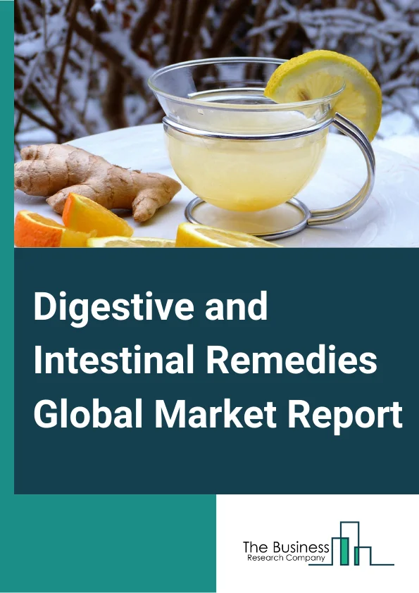 Digestive and Intestinal Remedies Global Market Report 2025 – By Type( Digestive Medicines, Remedies Against Gastrointestinal Complaints, Natural And Synthetic Agents), By Age Group( Pediatric, Adults), By Distribution Channel( Online, Offline) – Market Size, Trends, And Global Forecast 2025-2034