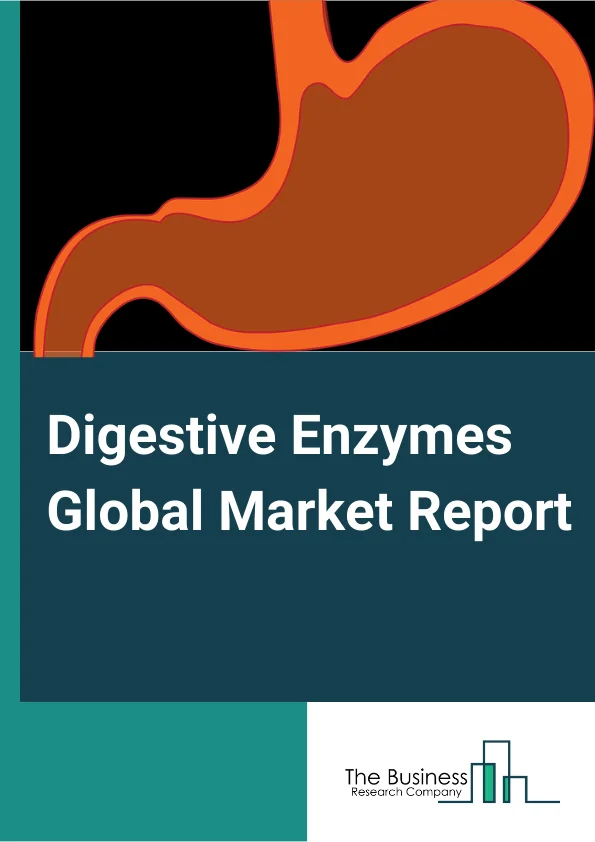 Digestive Enzymes Global Market Report 2024 – By Enzyme Type (Carbohydrates, Protease, Lipase, Other Enzyme Types), By Origin (Animal, Fungi, Microbial, Plant), By Application (Indigestion, Chronic Pancreatitis, Irritable Bowel Syndrome, Other Applications), By Distribution Channel (Retail Stores, Online Stores) – Market Size, Trends, And Global Forecast 2024-2033