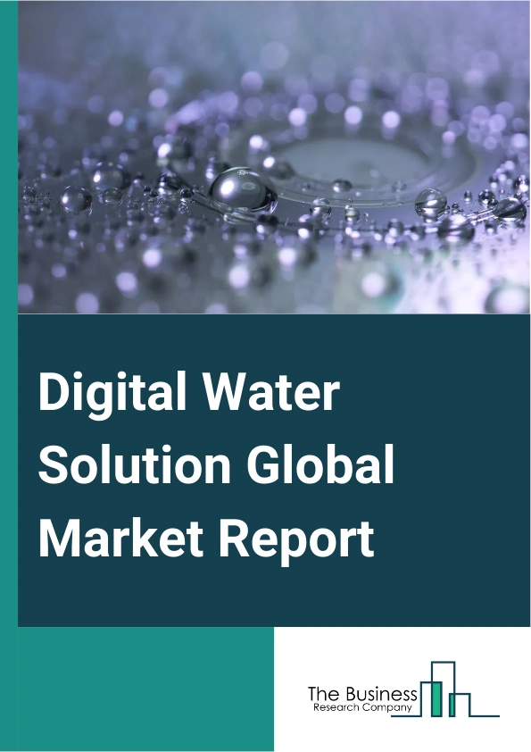 Digital Water Solution Global Market Report 2025 – By Solutions (Hardware, Software, Services), By Technology (Metering And Customer Management, Network Management, Work And Asset Management, Plant Management, Information Management), By Utility Tier (Tier I, tier II, Tier III) – Market Size, Trends, And Global Forecast 2025-2034