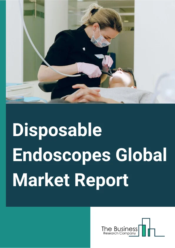 Disposable Endoscopes Global Market Report 2025 – By Product (Gastroscopes, Bronchoscopes, Duodenoscopes, Laryngoscopes, Colonoscopes, Ureteroscope?s, Other Endoscopes), By Patient Type (Adult, Pediatric), By End User (Hospitals, Ambulatory Surgical Centers, Diagnostic Centers) – Market Size, Trends, And Global Forecast 2025-2034