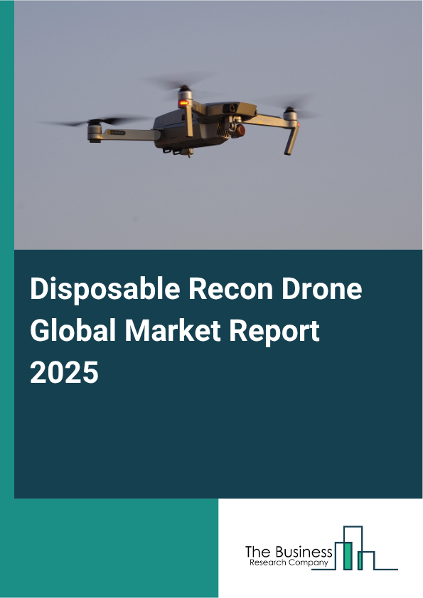 Global Disposable Recon Drone Market Report 2025