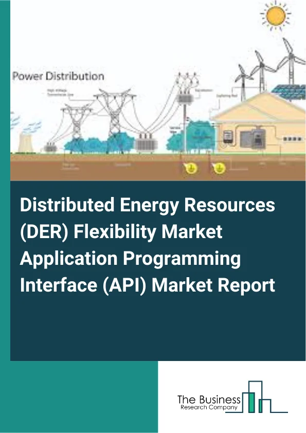 Distributed Energy Resources (DER) Flexibility Market Application Programming Interface (API) Market Report Infographic Image