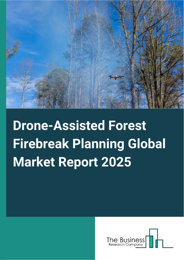 Global Drone-Assisted Forest Firebreak Planning Market Report 2025