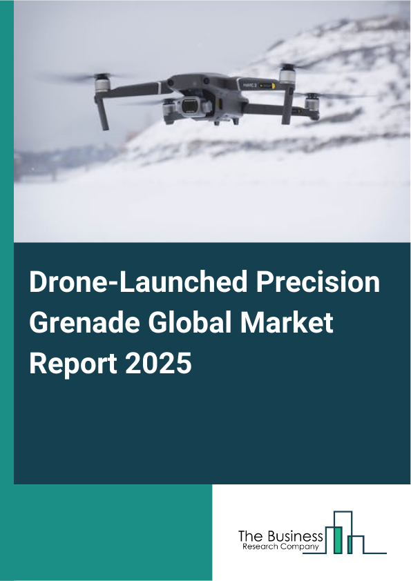 Global Drone-Launched Precision Grenade Market Report 2025 