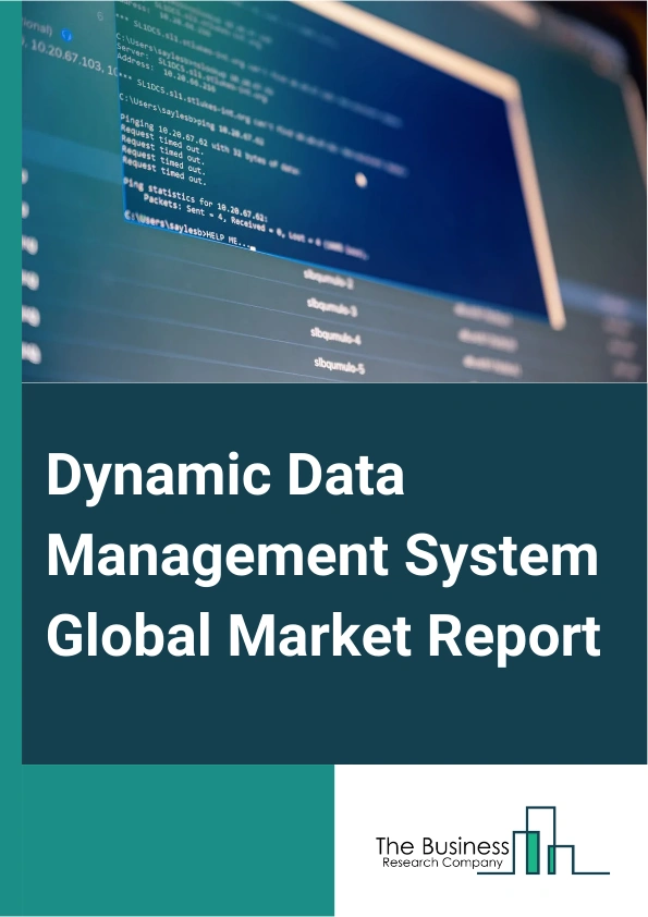 Global Dynamic Data Management System Market Report 2025