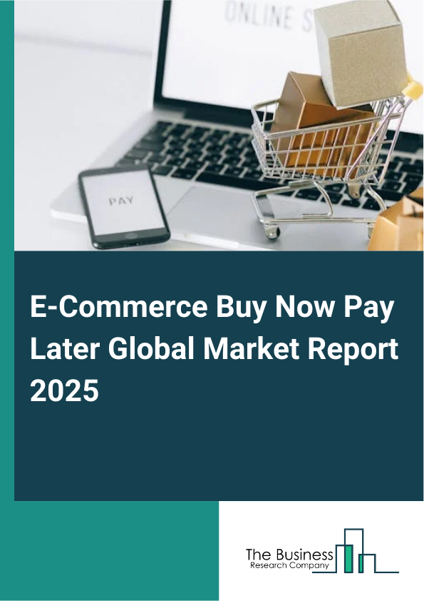 Global E-Commerce Buy Now Pay Later Market Report 2025 