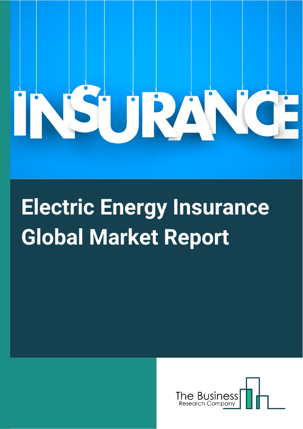 Global Electric Energy Insurance Market Report 2025