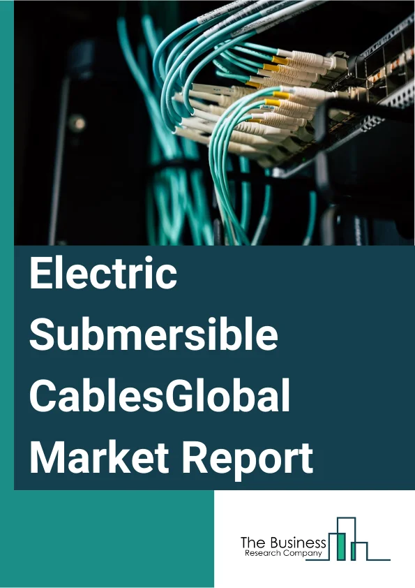 Electric Submersible Cables Market Size, Key Trends, And Outlook By 2033