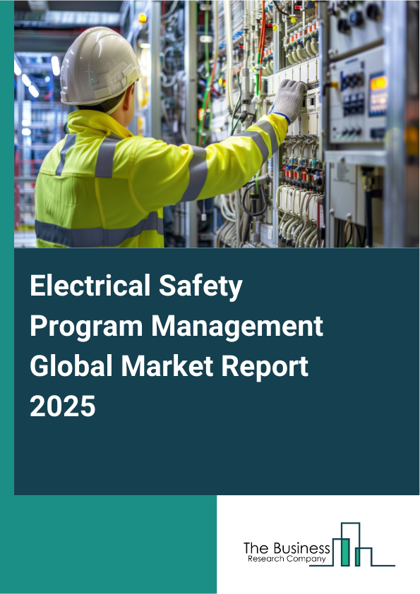 Global Electrical Safety Program Management Market Report 2025