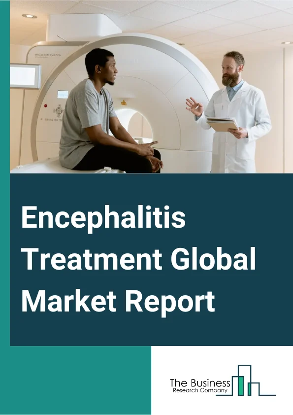 Encephalitis Treatment Global Market Report 2024 