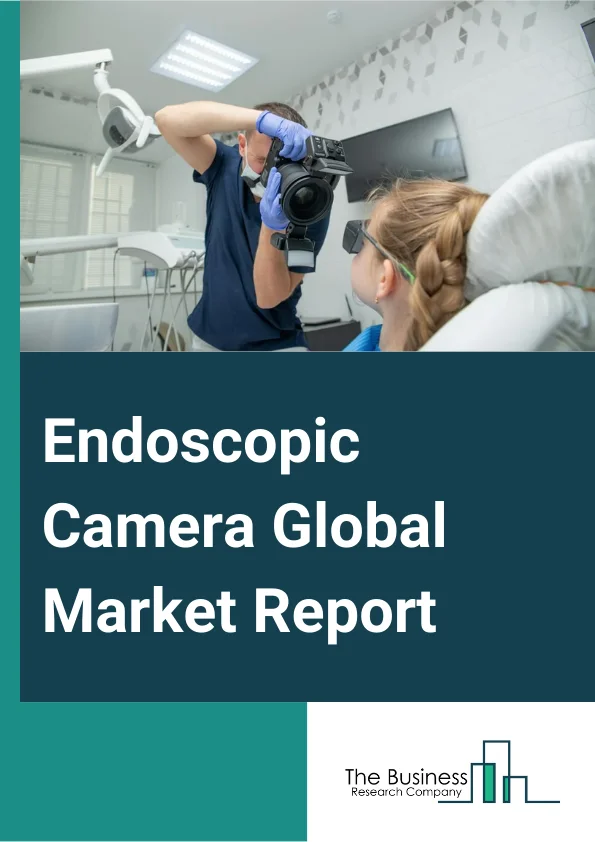 Endoscopic Camera Global Market Report 2024 