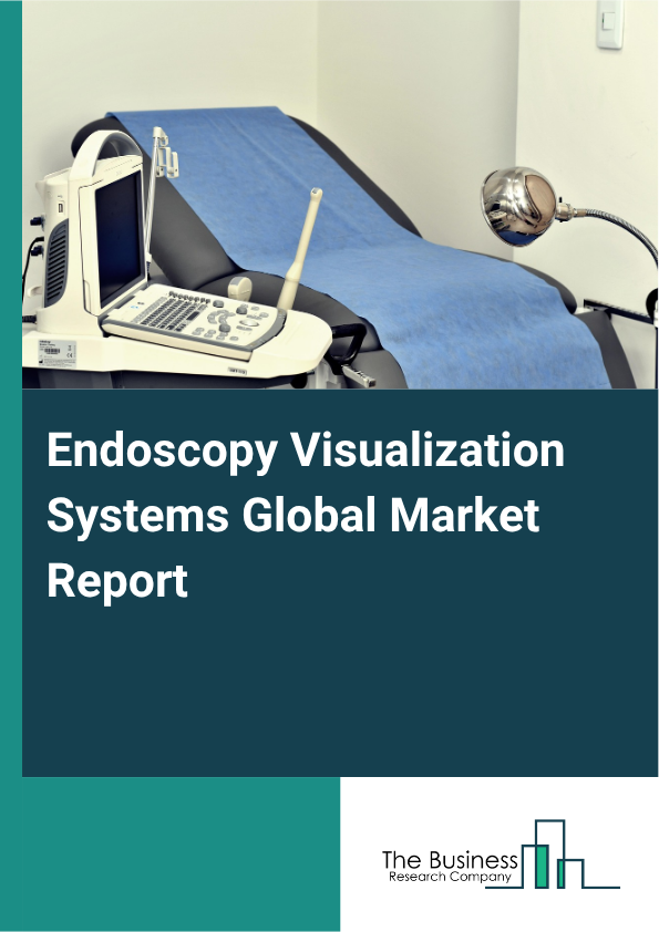 Global Endoscopy Visualization Systems Market Report 2025