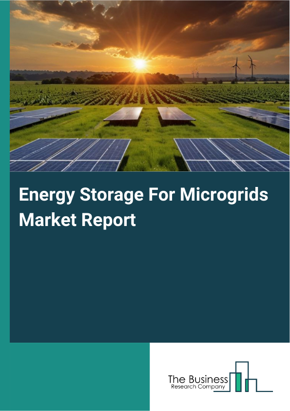 Energy Storage For Microgrids Market Report Infographic Image