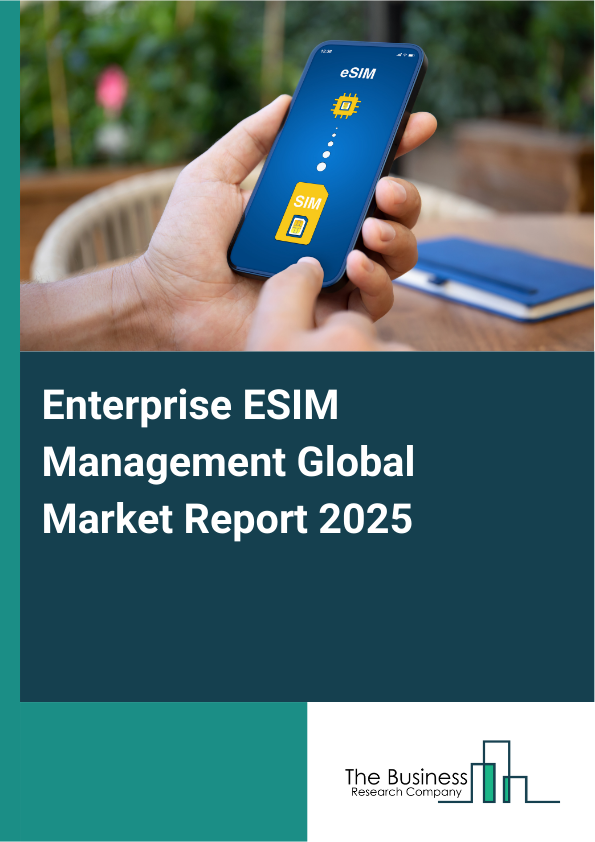 Global Enterprise ESIM Management Market Report 2025