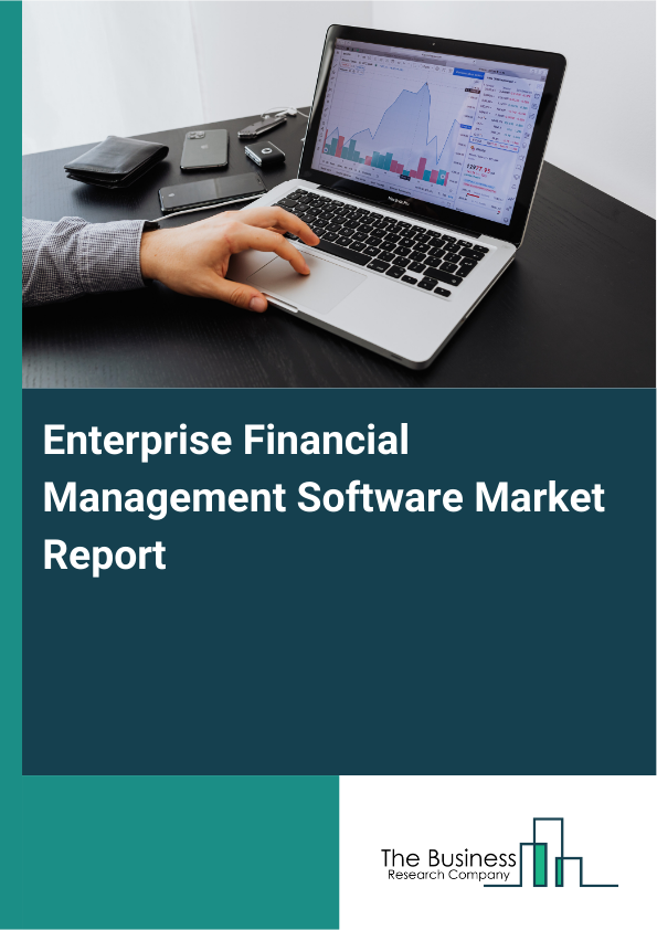 Enterprise Financial Management Software Market Report Infographic Image