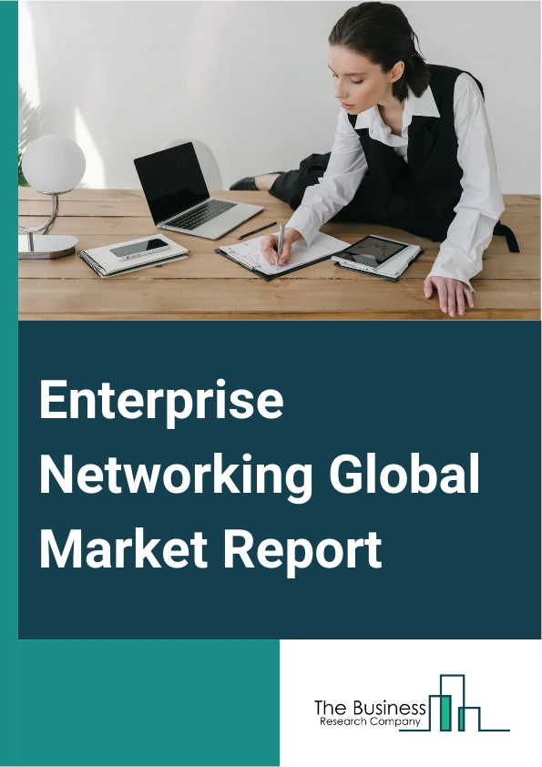 Global Enterprise Networking Market Report 2025