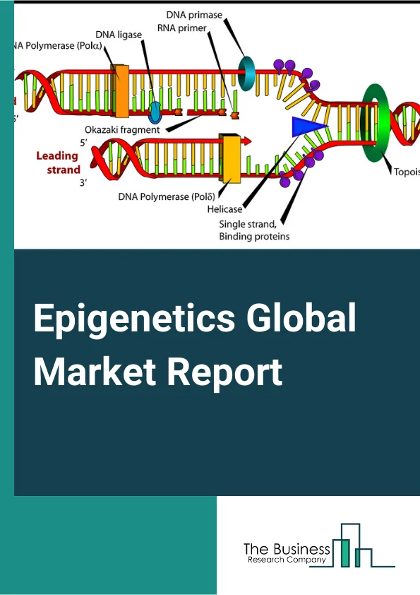 Epigenetics Global Market Report 2023 – By Product (Reagents, Enzymes, Instruments, Kits), By Technology (DNA Methylation, Histone Methylation, Histone Acetylation, Large Noncoding RNA, MicroRNA Modification, Chromatin Structures), By Application (Oncology, Metabolic Diseases, Developmental Biology, Immunology, Cardiovascular Diseases, Other Applications), By End-User (Academic And Research Institutes, Pharmaceutical And Biotechnology Companies, Contract Research Organisations, Other End Users) – Market Size, Trends, And Global Forecast 2023-2032 
