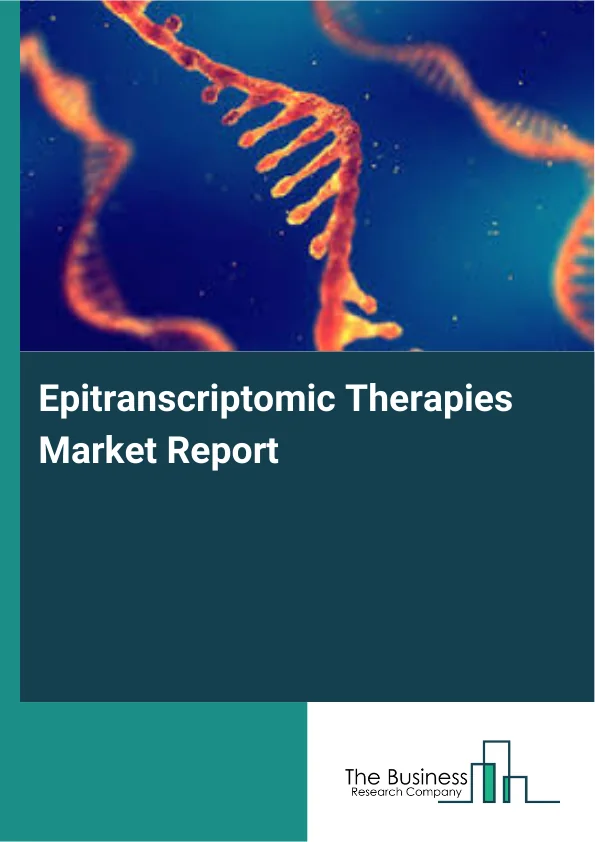 Epitranscriptomic Therapies Market Report Infographic Image