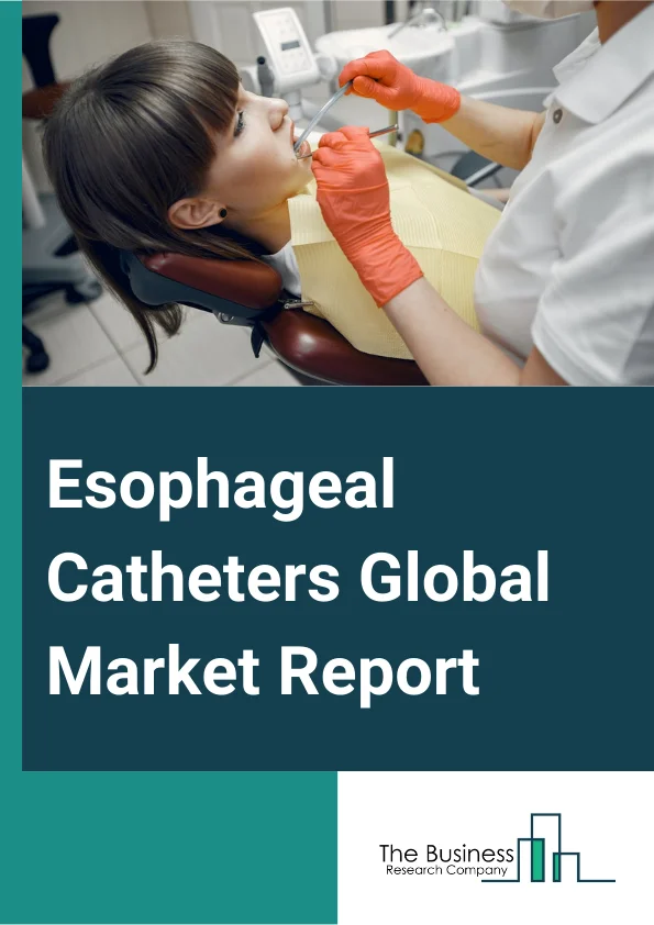 Esophageal Catheters Global Market Report 2024 