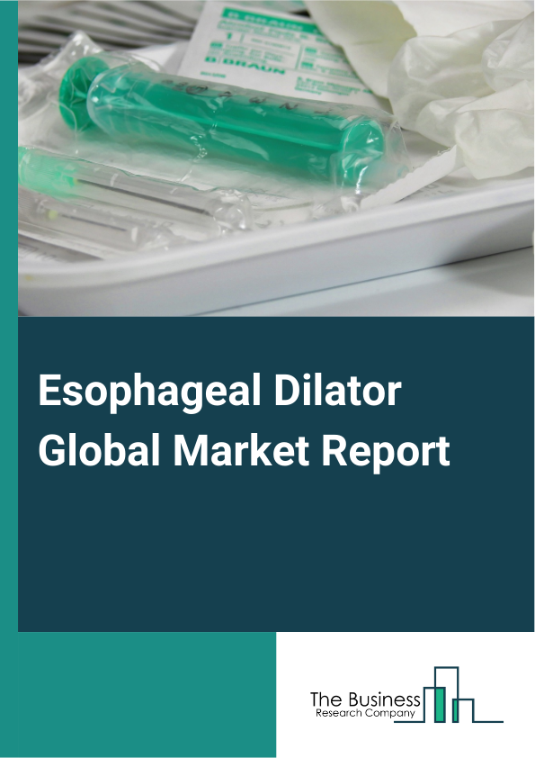 Global Esophageal Dilator Market Report 2025