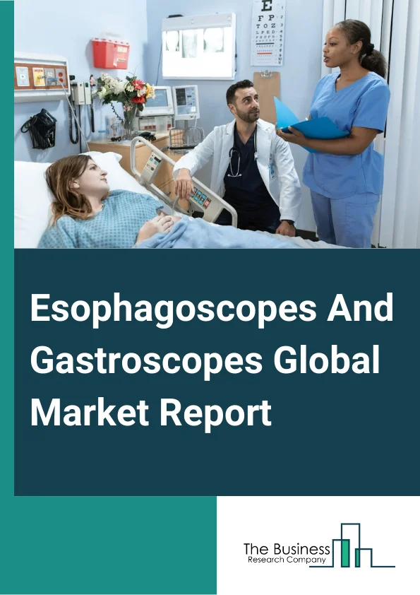 Esophagoscopes And Gastroscopes Global Market Report 2024 