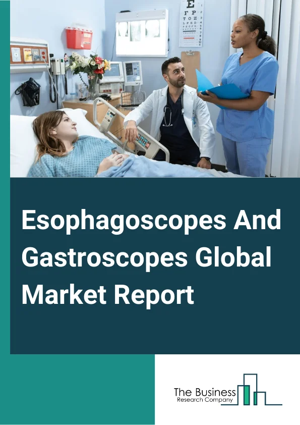 Esophagoscopes And Gastroscopes Global Market Report 2025 – By Type (Rigid, Flexible, Transnasal, Other Types), By Application (Gastroesophageal Reflux Disease, Ulcers, Barrett's Esophagus, Celiac Disease, Other Applications), By End User (Hospitals, Ambulatory Surgical Centers, Specialty Clinics, Diagnostic Centers, Other End Users) – Market Size, Trends, And Global Forecast 2025-2034