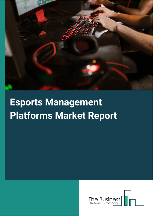 Esports Management Platforms Market Report Infographic Image