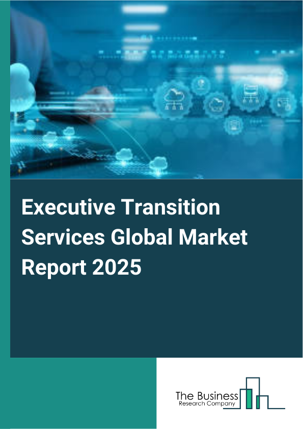 Global Executive Transition Services Market Report 2025