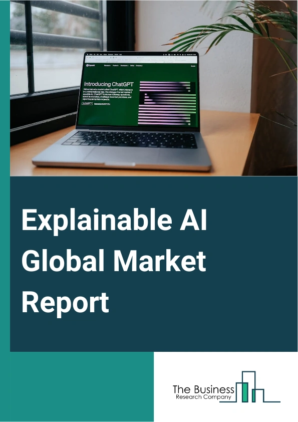 Global Explainable AI Market Report 2025