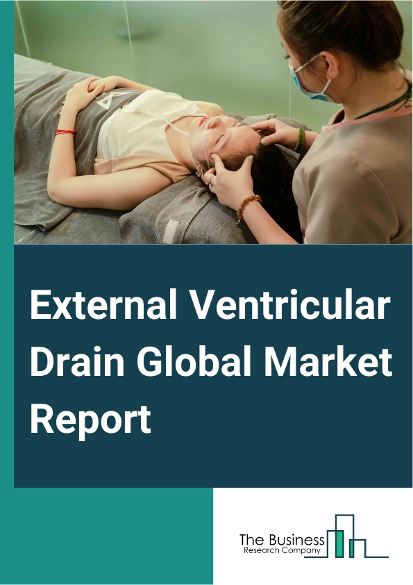 Global External Ventricular Drain Market Report 2025