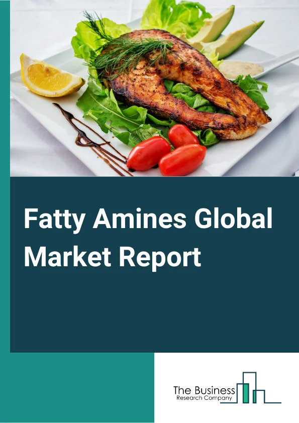 Fatty Amines Global Market Report 2023 – By Product (Primary Fatty Amines, Secondary Fatty Amines, Tertiary Fatty Amines), By Application (Agrochemicals Oilfield Chemicals, Asphalt Additives, Water Treatment, Chemical Synthesis, Personal Care, Household), By Function (Emulsifiers, Floatation Agents, Anti-Caking Agents, Dispersants, Corrosion Inhibitors, Chemical Intermediates) – Market Size, Trends, And Global Forecast 2023-2032