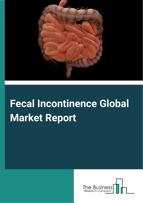 Global Fecal Incontinence Market Report 2025
