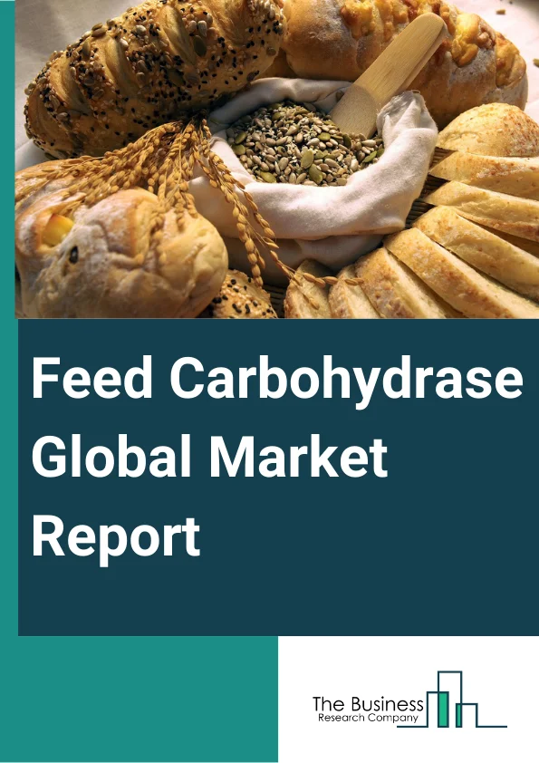 Global Feed Carbohydrase Market Report 2024