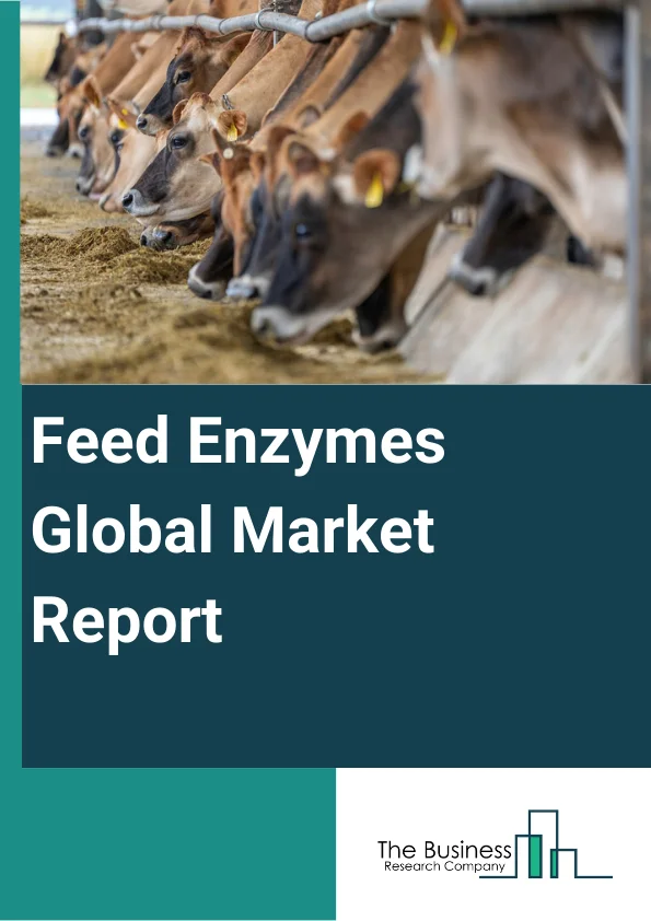 Feed Enzymes Global Market Report 2024 – By Type (Protease, Phytase, Carbohydrase, Other Types), By Source (Microorganism, Plant, Animal), By Form (Dry, Liquid, Other Forms), By Livestock (Swine, Poultry, Ruminants, Aquatic Animals, Other Livestock) – Market Size, Trends, And Global Forecast 2024-2033