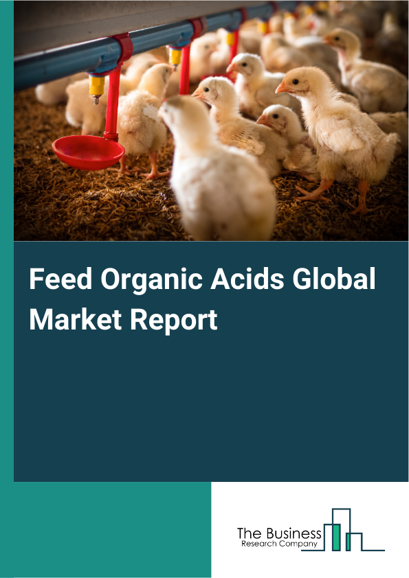 Global Feed Organic Acids Market Report 2025