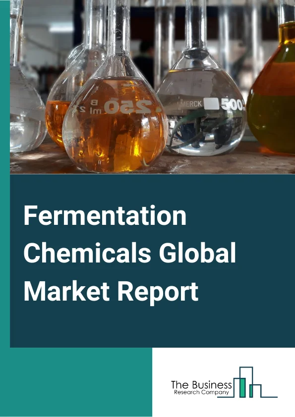Global Fermentation Chemicals Market Report 2024