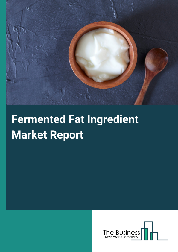 Fermented Fat Ingredient Market Report Infographic Image