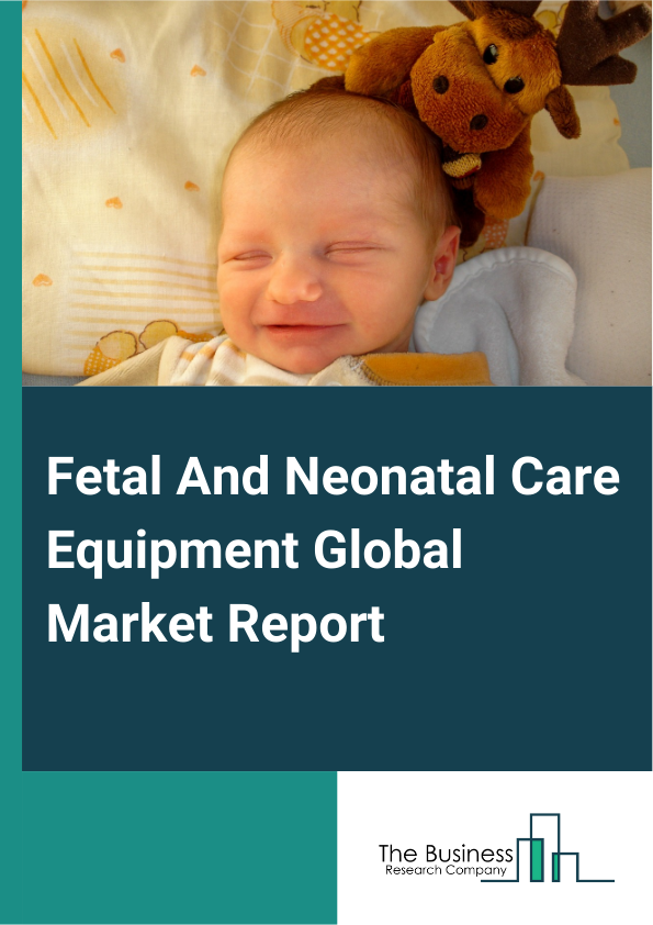 Global Fetal And Neonatal Care Equipment Market Report 2025