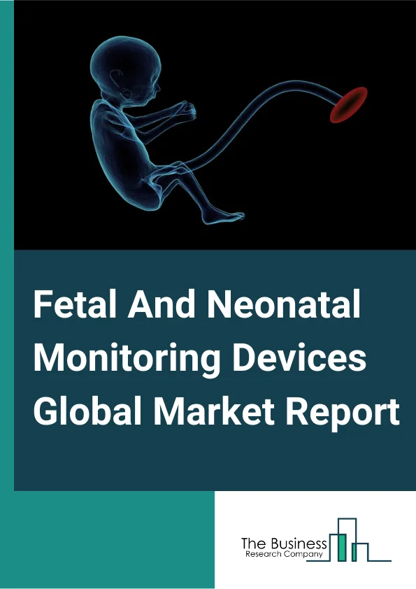 Global Fetal And Neonatal Monitoring Devices Market Report 2024