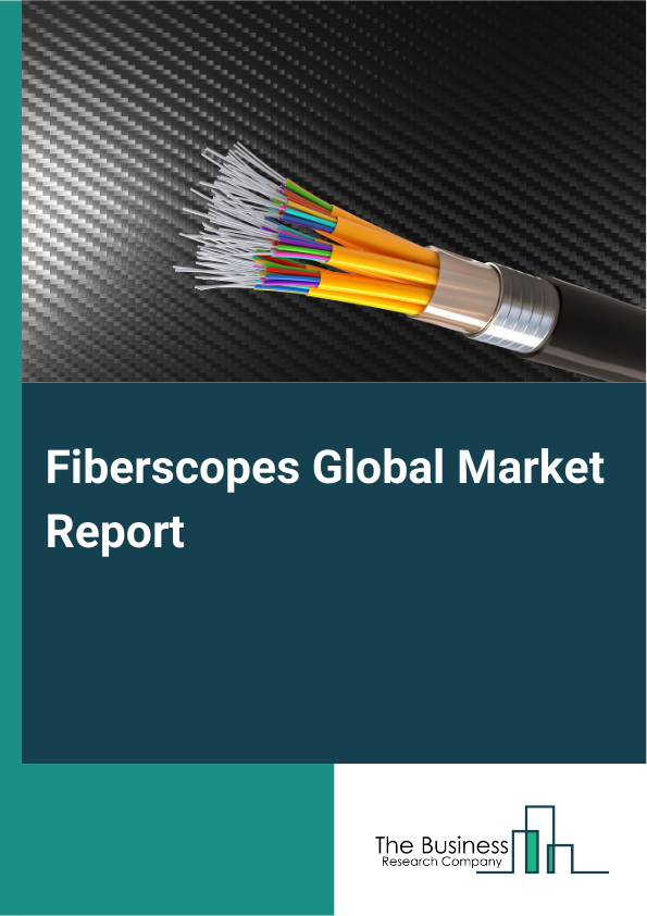 Global Fiberscopes Market Report 2025