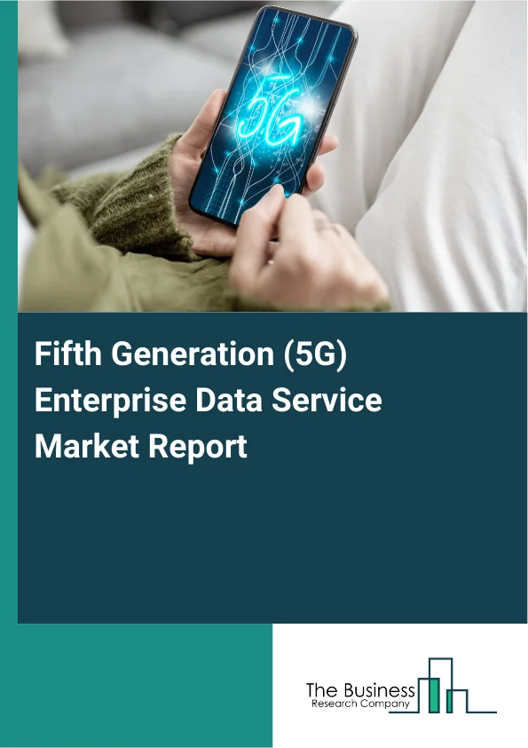 Fifth Generation (5G) Enterprise Data Service Market Report Infographic Image